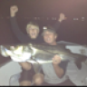 Smoothmullet
