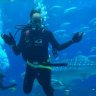 reefwade