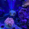 ReeferBill