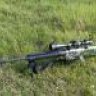 Nicholas41