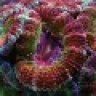 trippy.sea.90