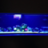 Inwall150