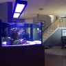 TX Reefhaus