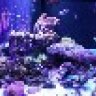 bound2reefing