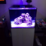 solereef50