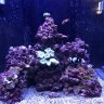 SD_reefer