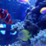 badfish2