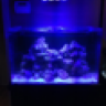 jpt100