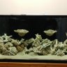 pandora32