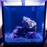 Obsessed Reefer