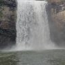 bobbyreefs