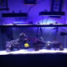 Fishkeepermaster