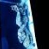 ReefFreak@