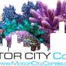 Motorcitycorals