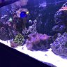Omarvcash401