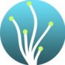 Saltwater gardens