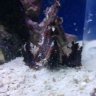 cityreef
