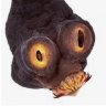 tapeworm123