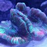 ilovereefing <3
