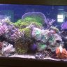 Aquaticcove
