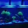 ReeferB28