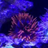 Kenny-pr