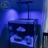 Nick's Tank