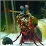 8BALL_99