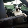 Travster