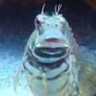 ReefKeeperElite