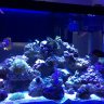 Fishfreak_MA