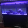 Turbotank123