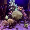 JayFish4004
