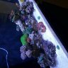 Reefer714