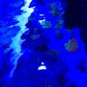 ReefBank