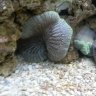Huntersreef15