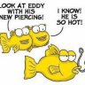 FunnyFinz