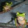 FROGSandFRAGS
