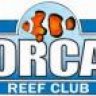 orcapresident