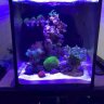 Bbarba