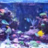 Stanley.Reefer170