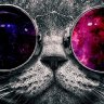 Misfitzkittie