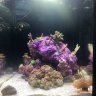 AquaThumb83