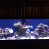 jbow50