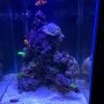 reefinghavoc35