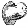 DukeOfSavoy