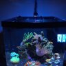 NickNiz