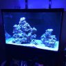 electricreef