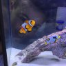 ReefingRealtor