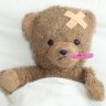HolisticBear